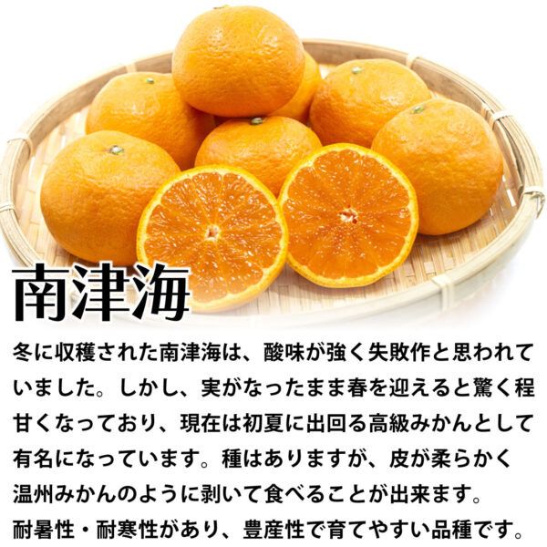 南津海解説