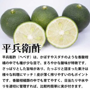 平兵衛酢（へべす）
