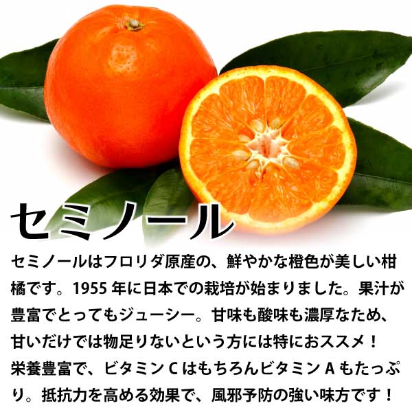 セミノール